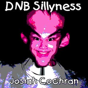 DNB Sillyness album art